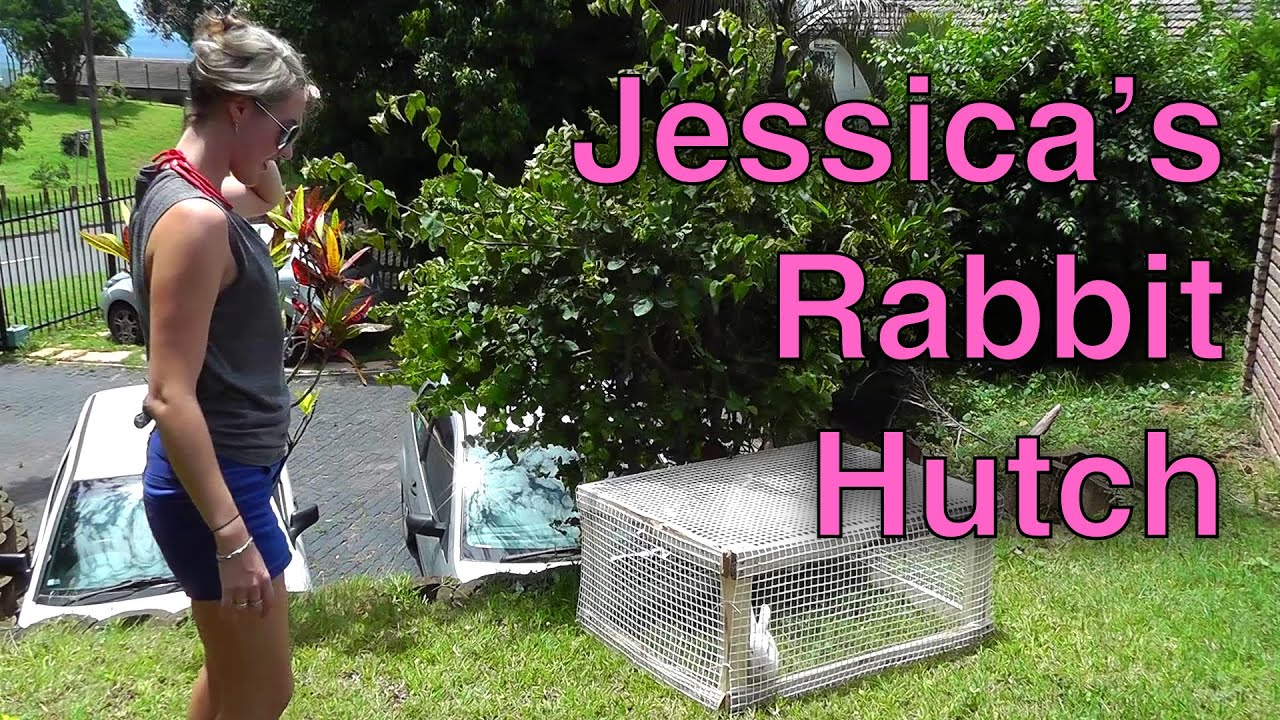 Jessica's rabbit gets a new hutch