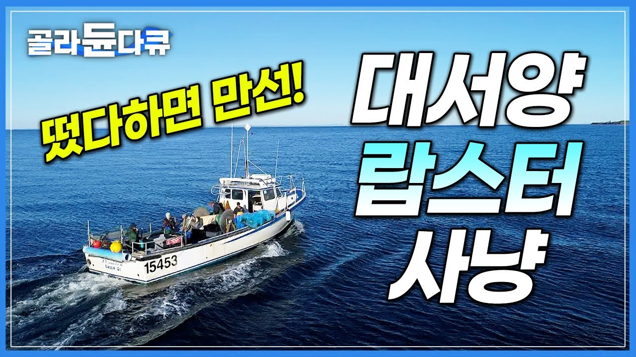 집 떠난 지 5시간 만에 만선! 통발로 알아서 기어들어오는 수백 마리 랍스터│미끼로 가자미 쓰는 해외 황금어장│캐나다│세계테마기행│#골라듄다큐