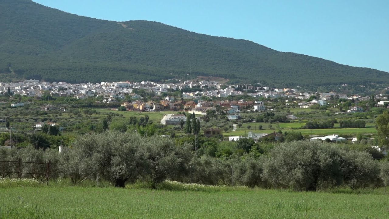 MÁLAGA SALEROSA (ALHAURIN EL GRANDE)