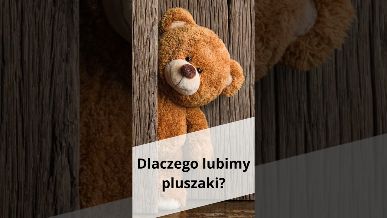 Dlaczego kochamy pluszowe maskotki? Sprawdzili to naukowcy