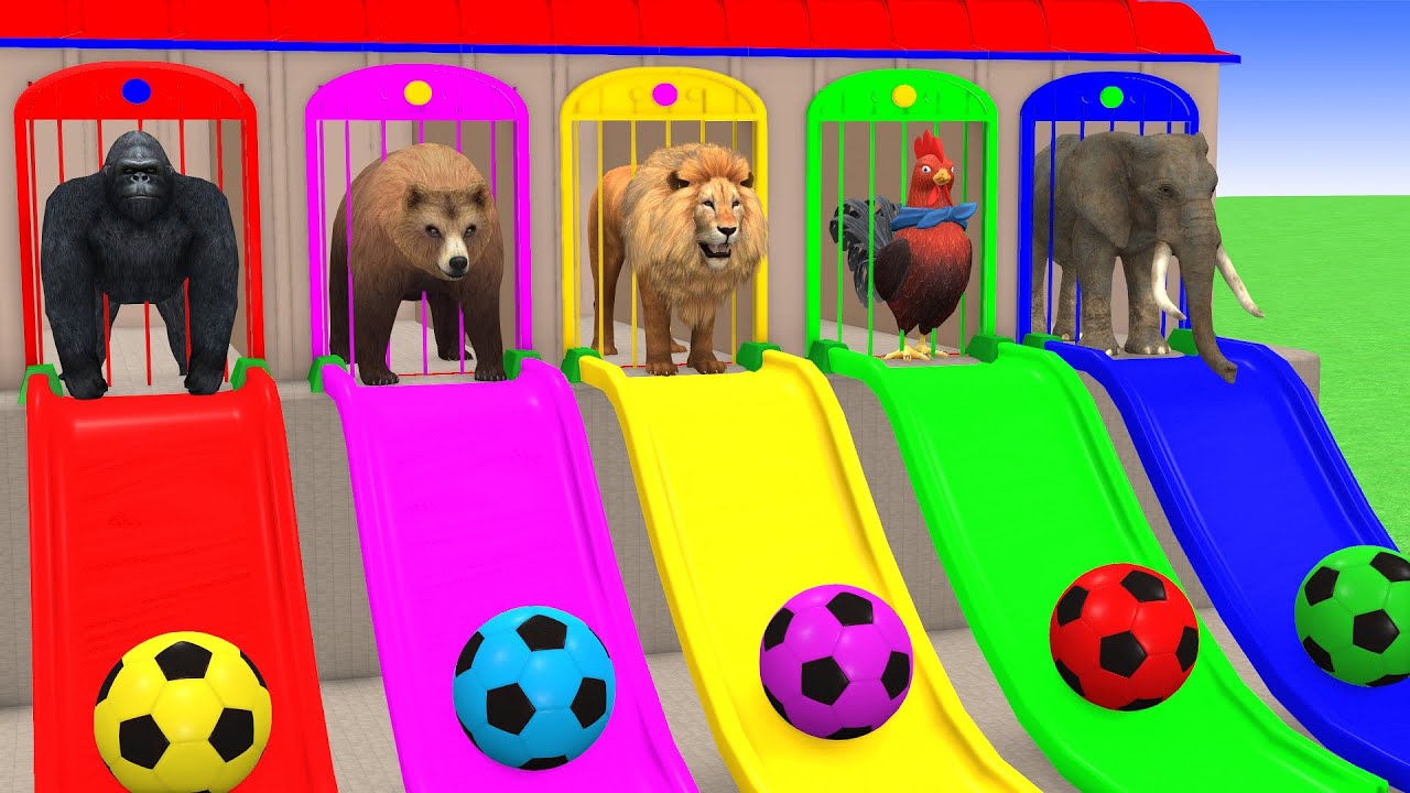 Long Slide Game with Cow Elephant Gorilla Hippopotamus Tiger 3d Animal Game Funny 3d Animals