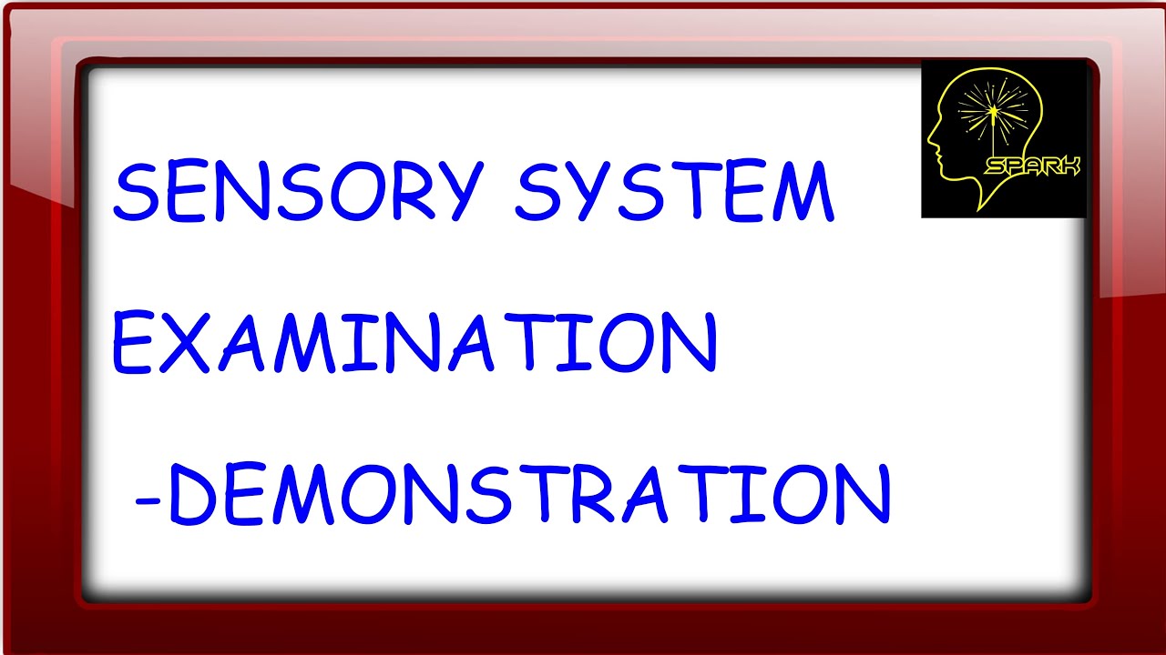 SENSORY SYSTEM EXAMINATION - NEUROLOGY - DEMONSTRATION FOR MBBS AND MD STUDENTS