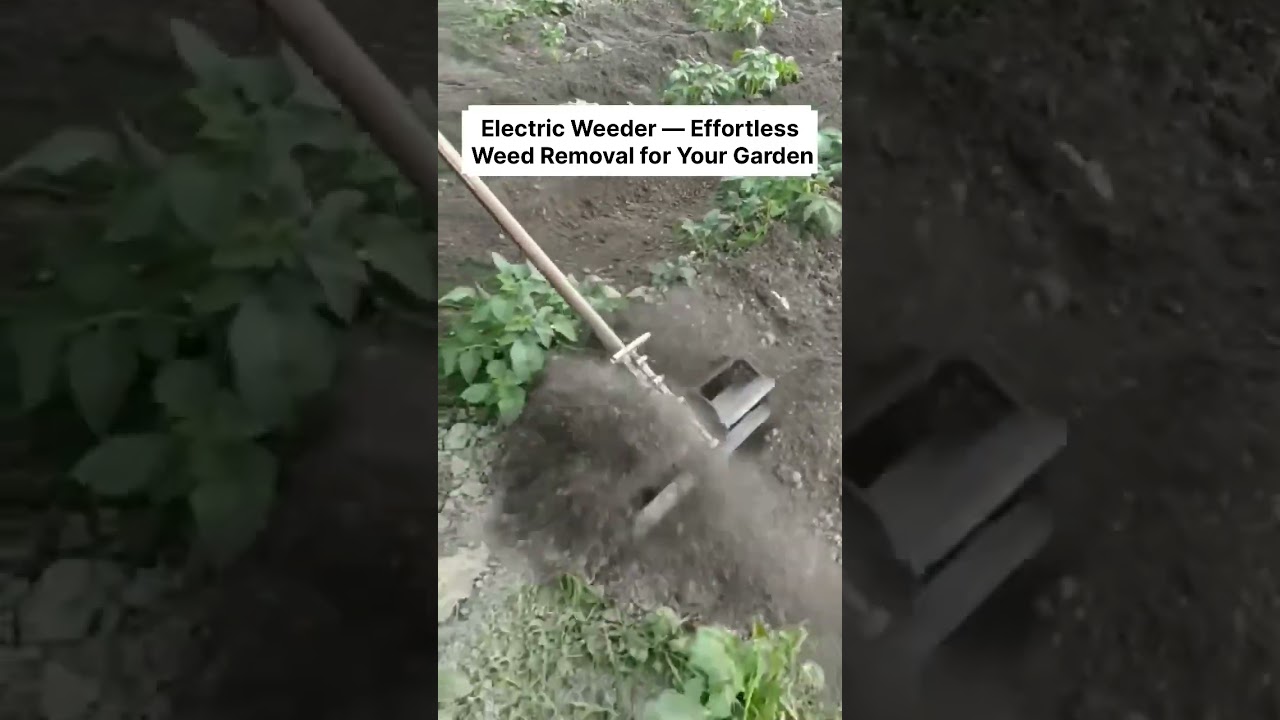 Electric Weeder &mdash; Effortless Weed Removal for Your Garden