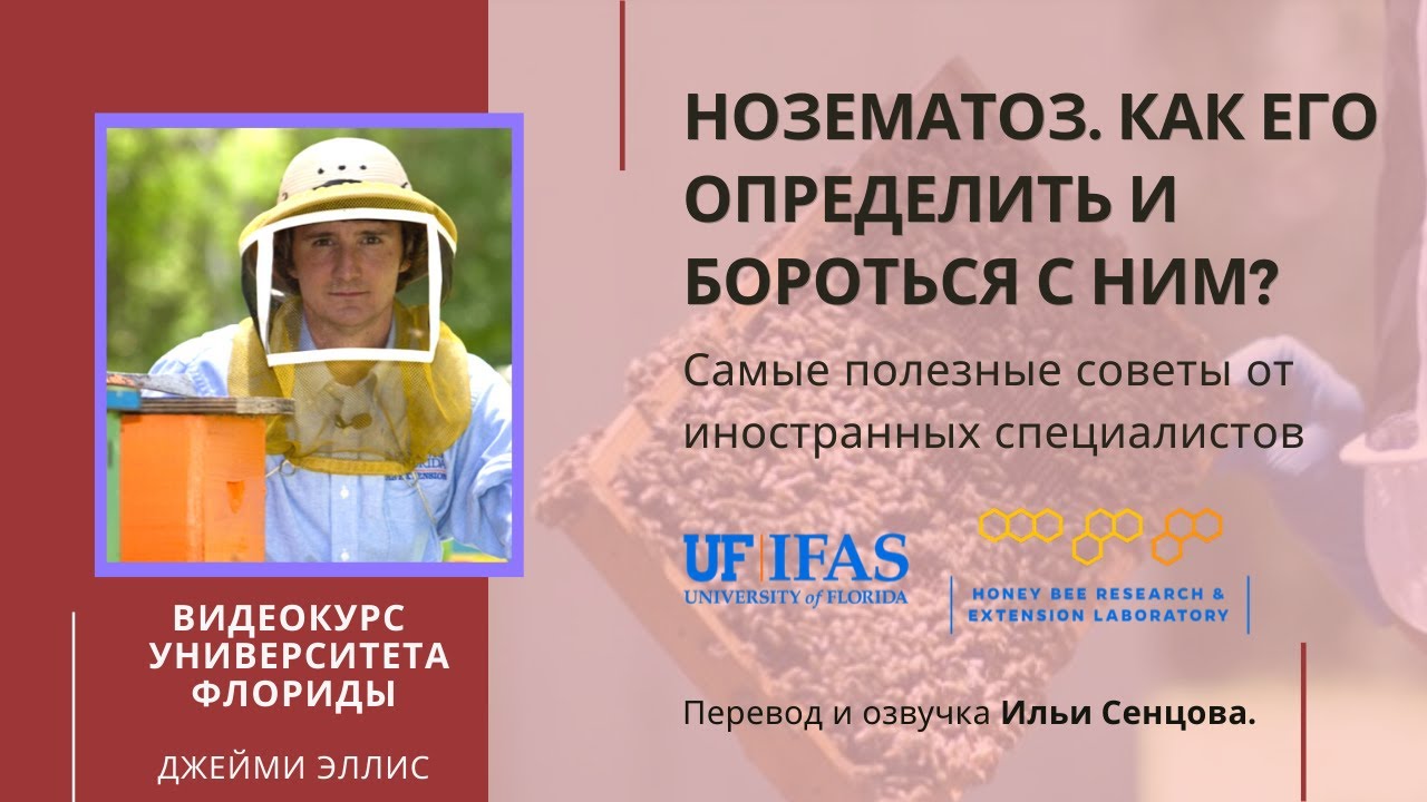 Нозематоз. Как его определить и бороться с ним? (Университет Флориды)