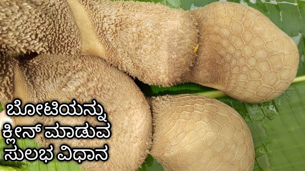Goat intestine cleaning and cutting | how to clean boti in easy way in kannada