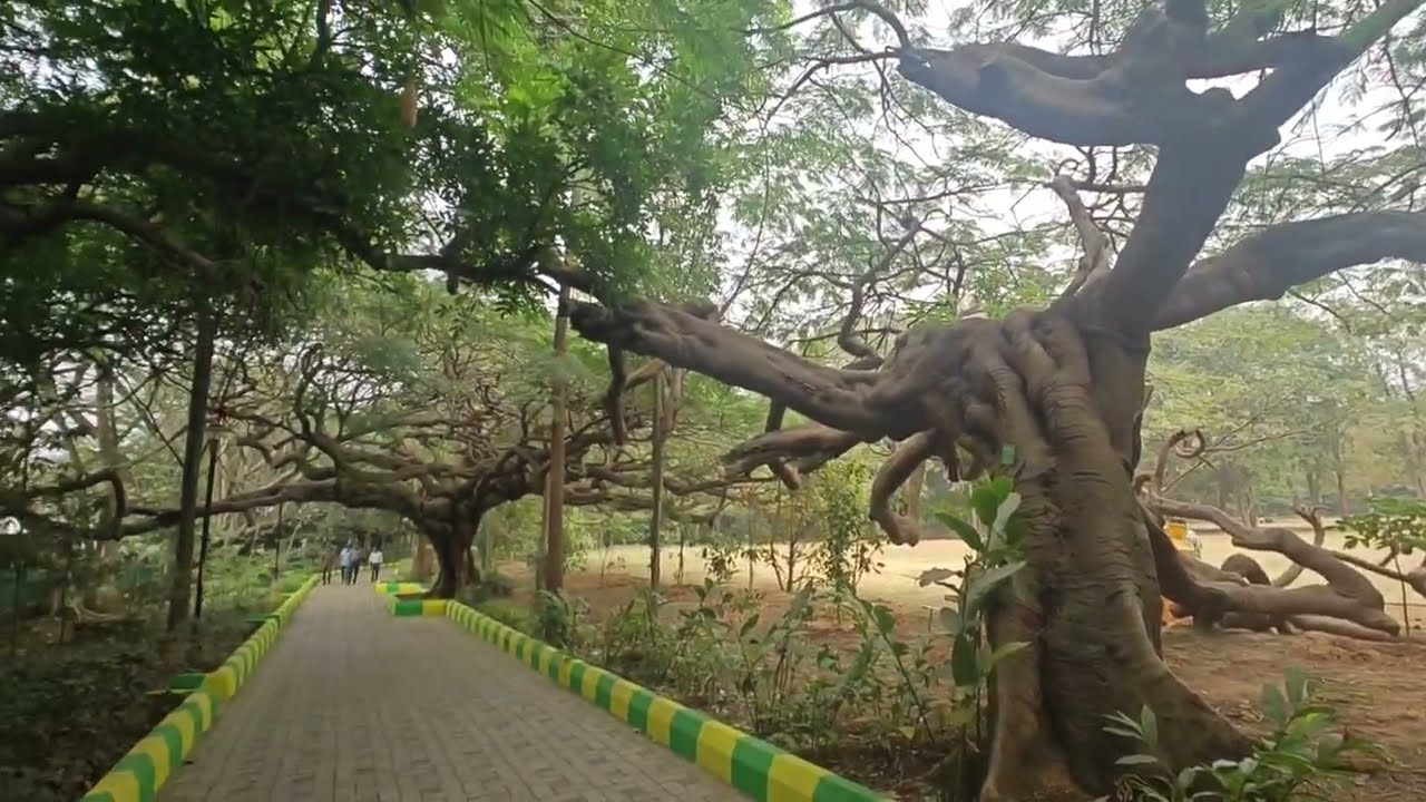 Nature Walk, Bengaluru #mnkrishnaraopark #bengluru #beautifulplaces #beautifulgarden #bengalurutour