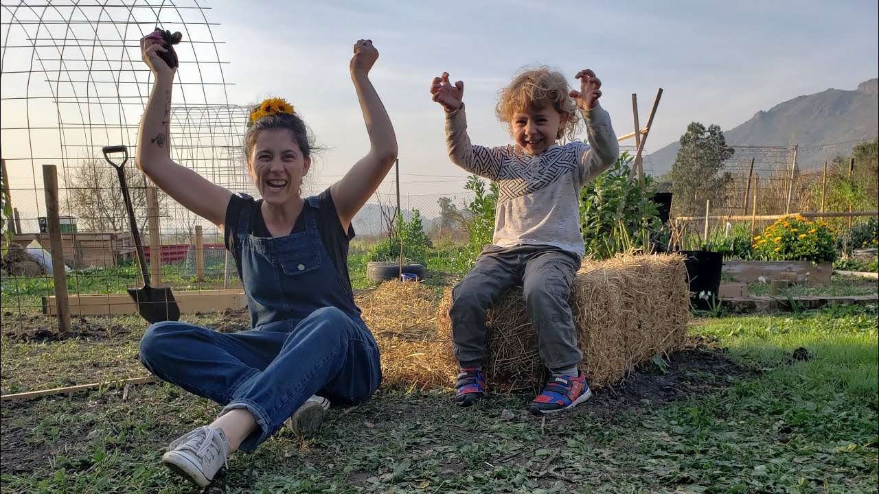 Sembramos las Papas! Nuevo método de Cultivo #RuthStout Capítulo 4 #HolaPrimavera