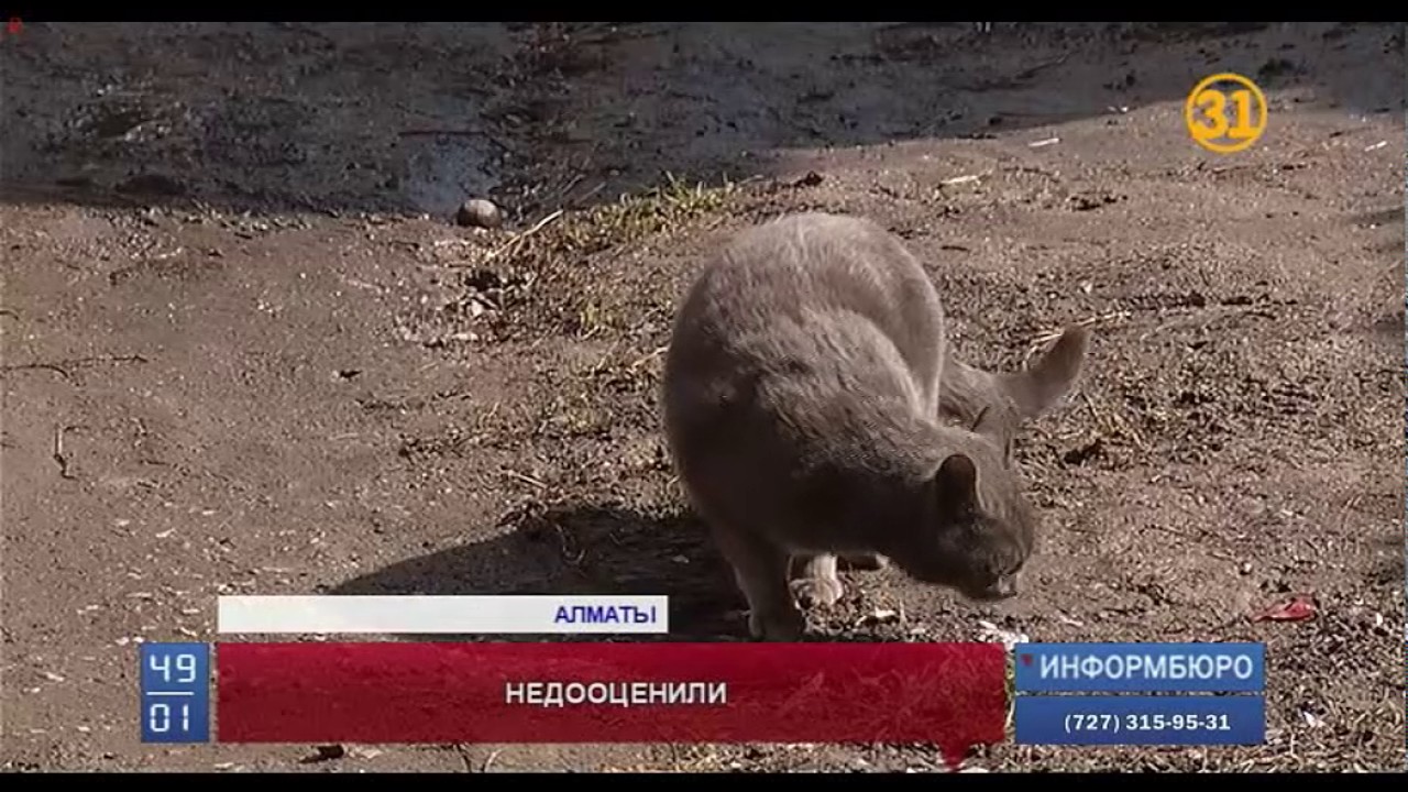В Алматы собственники домов, которые попадают под снос, добились повторной оценки их имущества