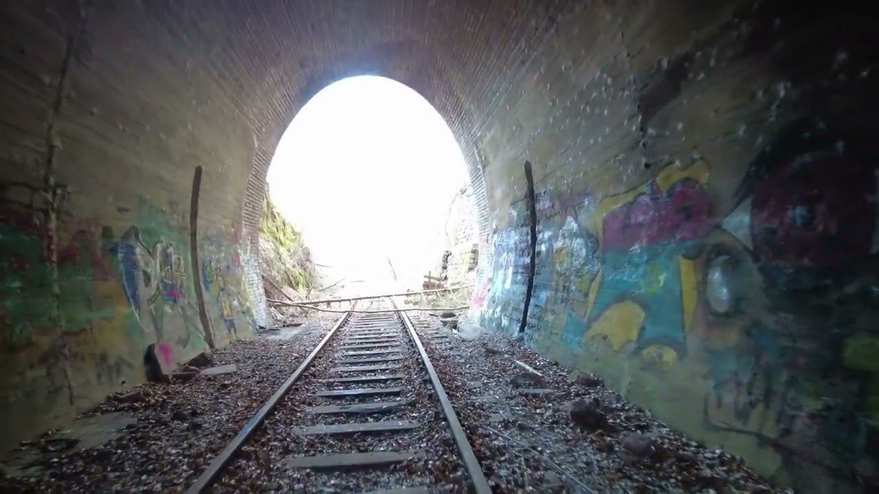 Abenteuer Pfälzer Wald- verlassene Bahnlinie und Übernachtung im Freien