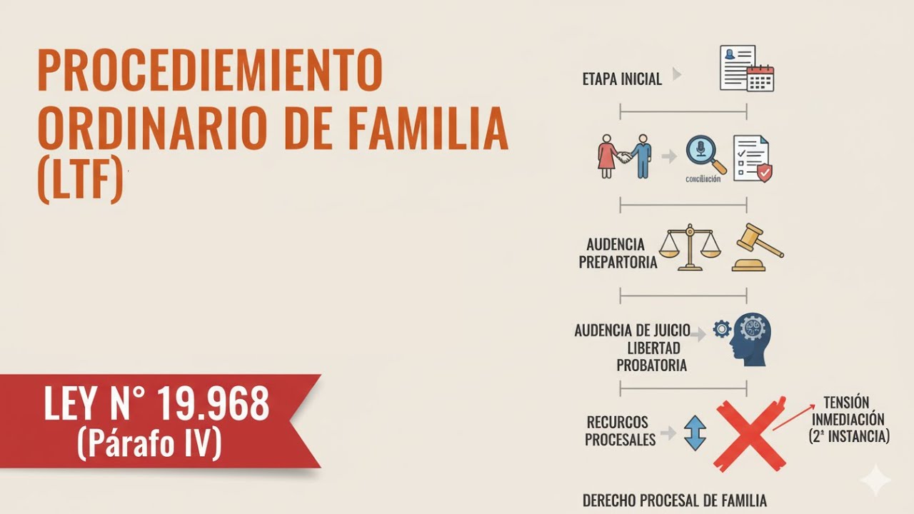 PROCEDIMIENTO ORDINARIO DE FAMILIA: Estructura, Principios y la Inmediaci&oacute;n en Recursos