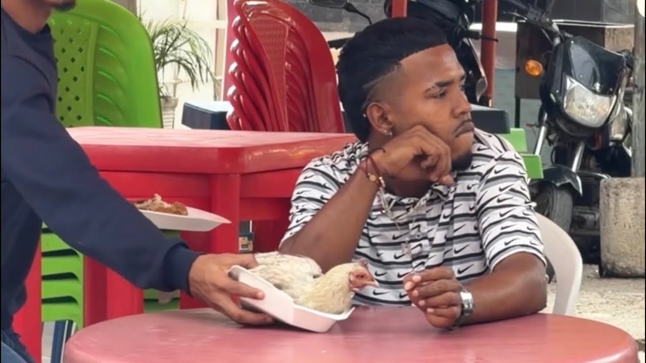 EL POLLO DIVERTIDO 🍗 🐔 #viral #shortvideo 