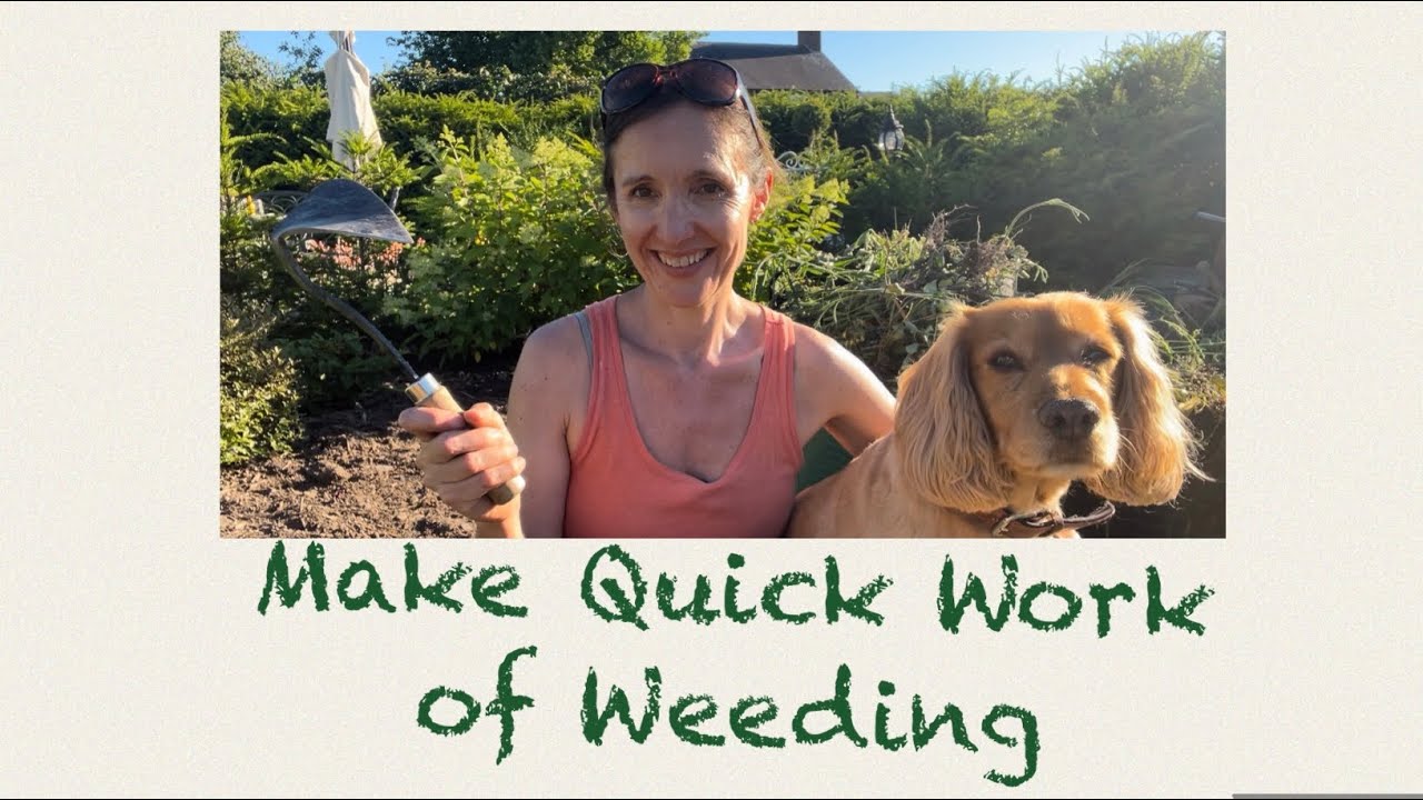 A New Tool for Weeding
