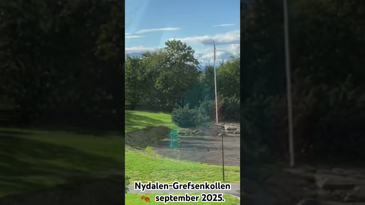 Nydalen-Grefsenkollen ☀️ høst 2025.