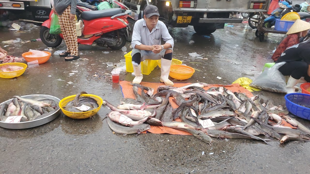 Chợ đầu mối bình điền sáng thứ sáu cá lóc 25k cá biển 15k tôm đổ đống 50k 