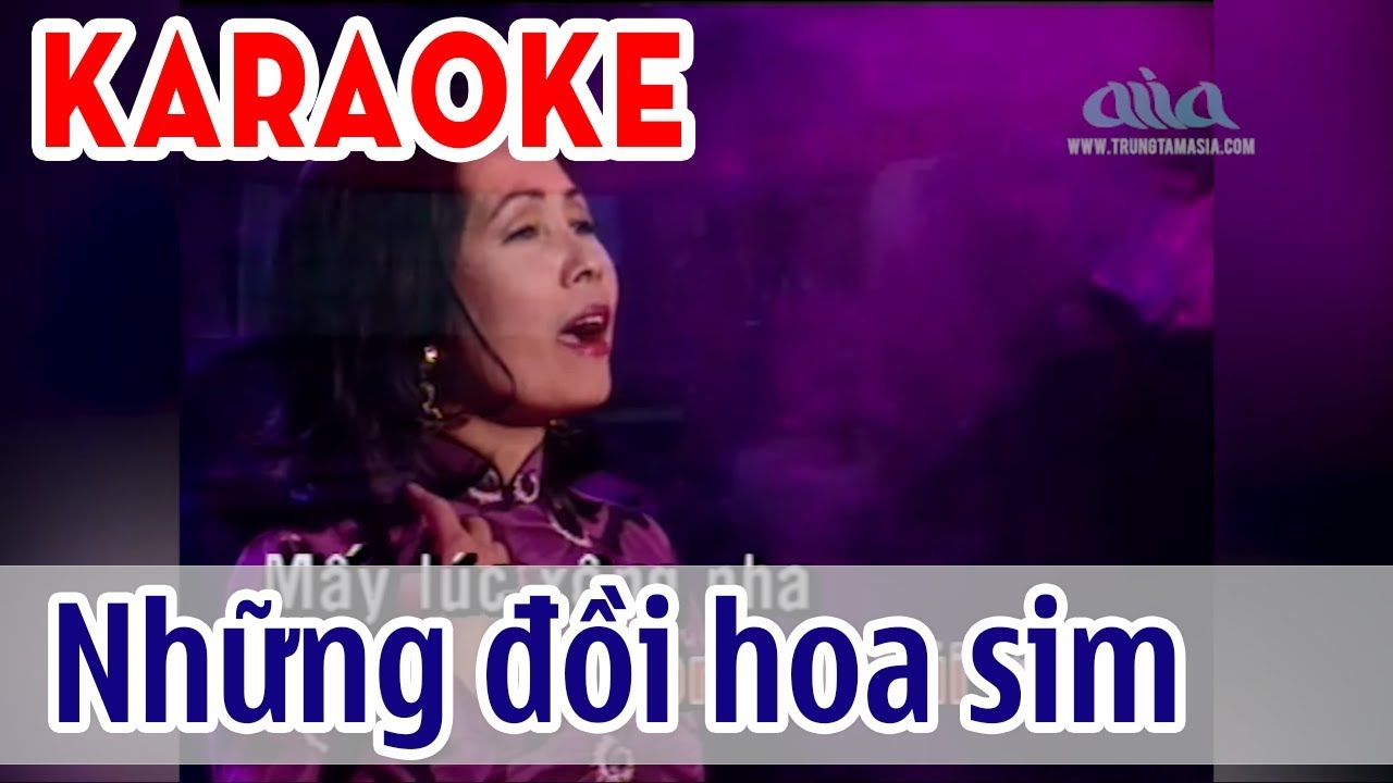 Những Đồi Hoa Sim Karaoke Tone Nữ - Phương Dung | Asia Karaoke Beat Chuẩn