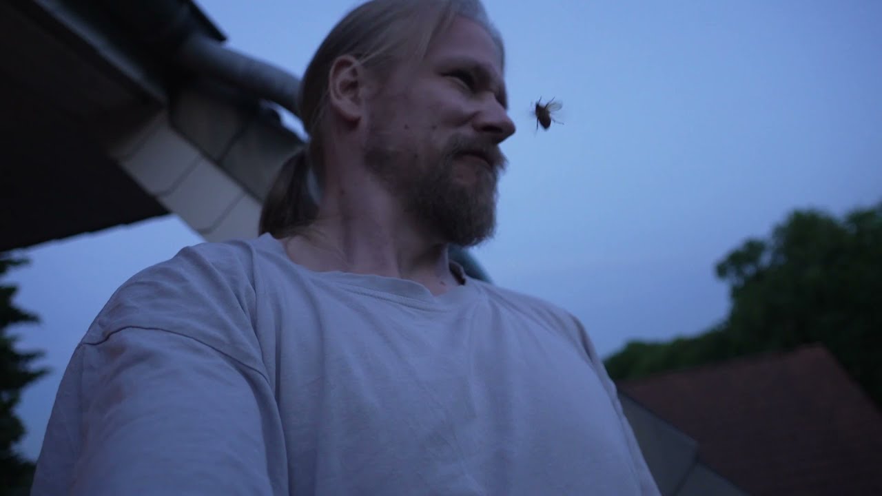 Belagert von Juni-K&auml;fern / European June Beetle