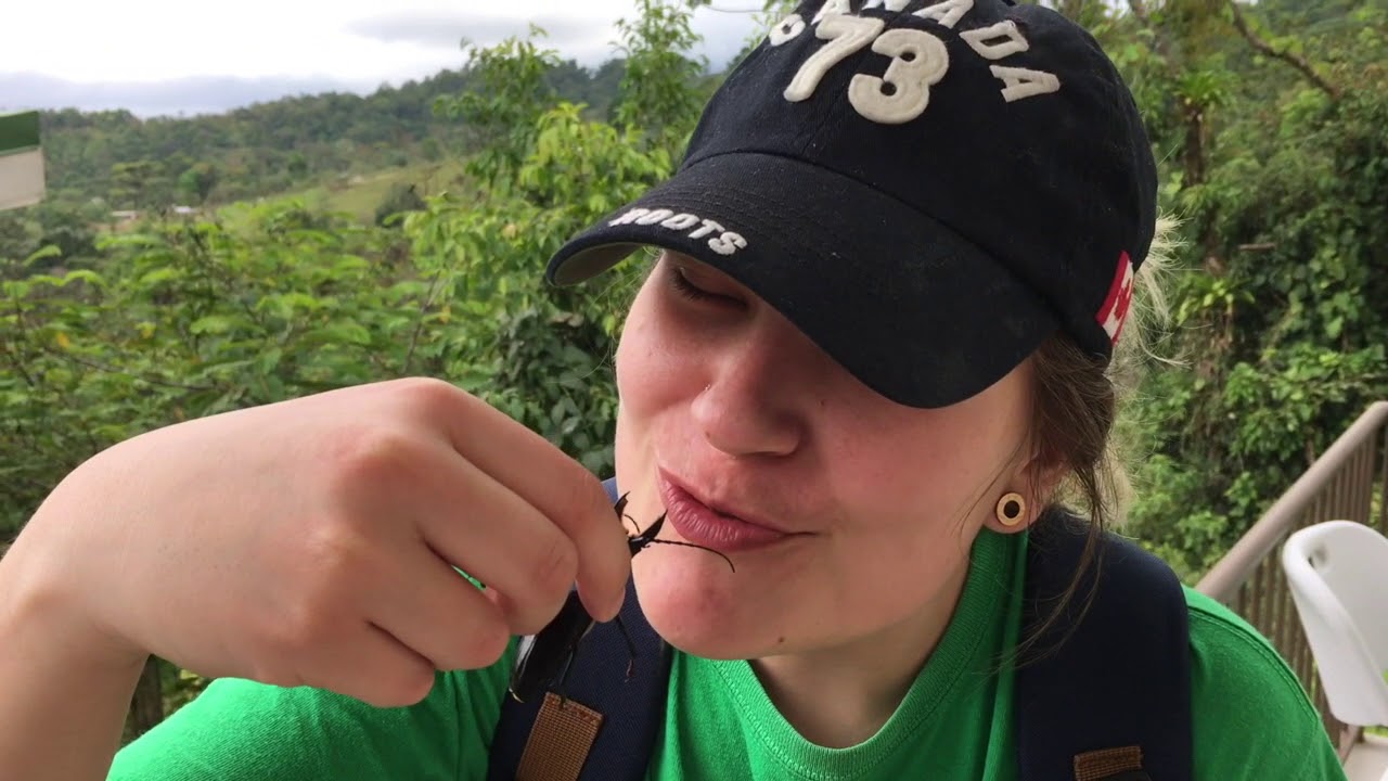 What's Field Entomology? (Costa Rica 2018)