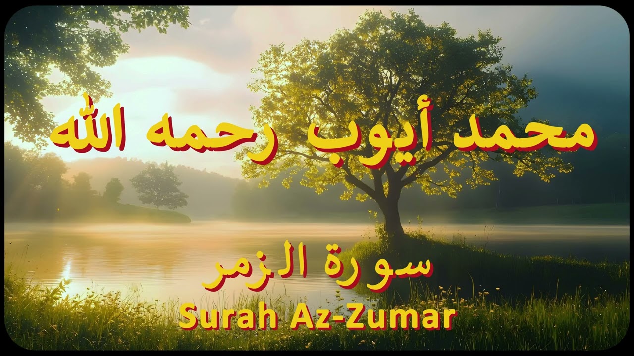 سورة الزمر كاملة | الشيخ محمد أيوب