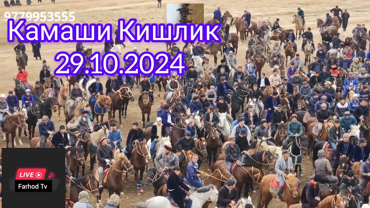 29.10.2024 y Камаши Кишликдан #Ергаш ака #Шавкат ака  Купкариси