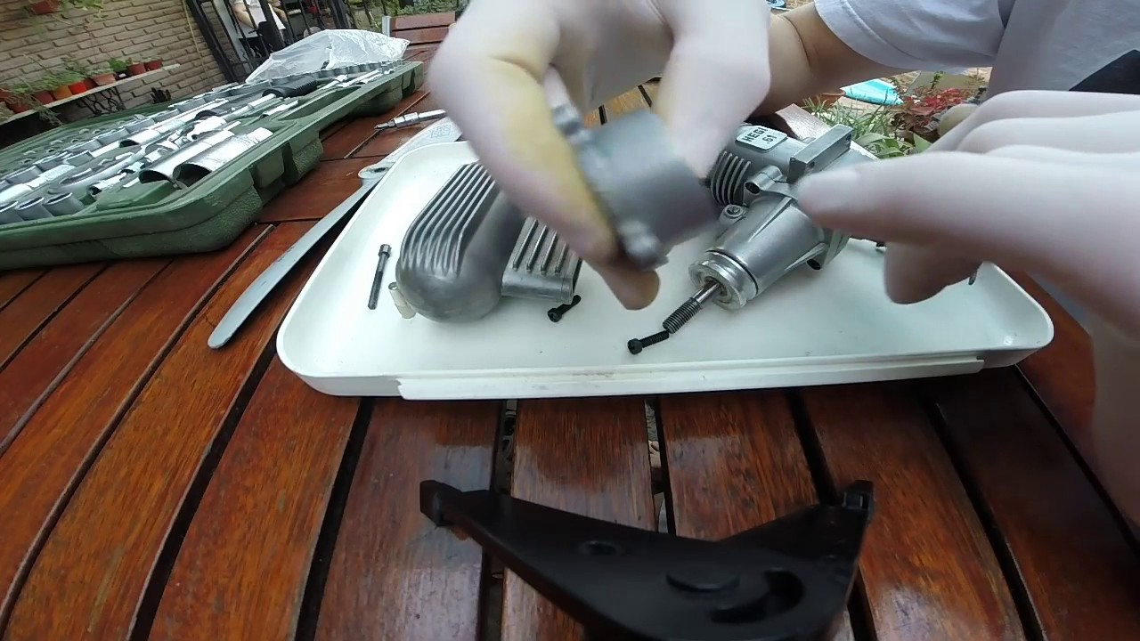 Hegi .61
