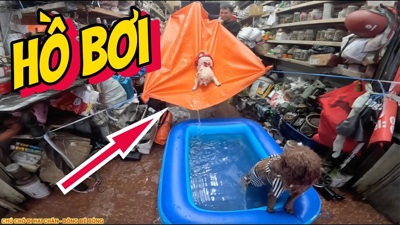CHẾ TẠO HỒ BƠI TRONG NHÀ SIÊU ĐỈNH CHO SU BÔNG