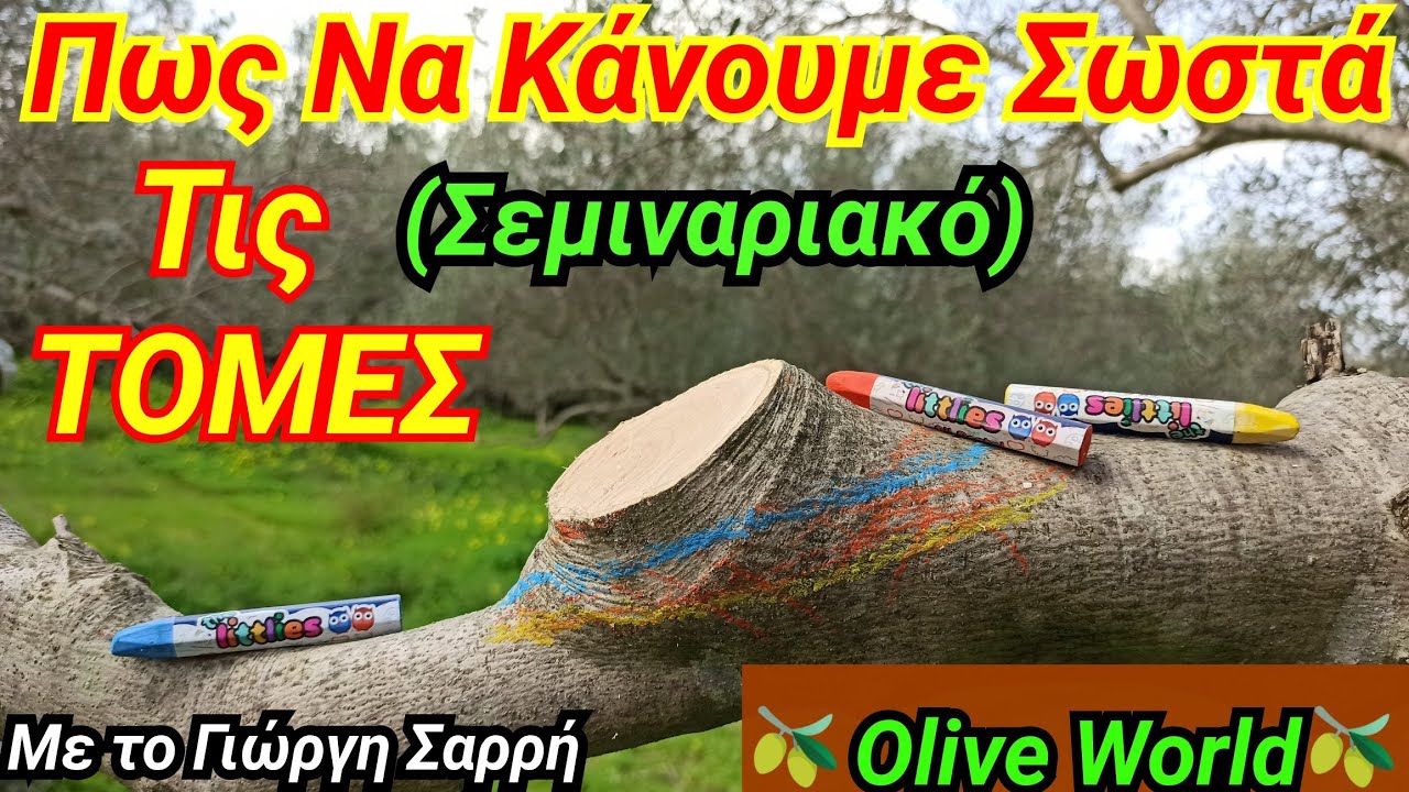 Κλάδεμα Ελιάς- ΣΕΜΙΝΑΡΙΑΚΟ-Πως Κάνουμε Τις Τομές-Τα ΛΑΘΗ Και Τα ΣΩΣΤΑ
