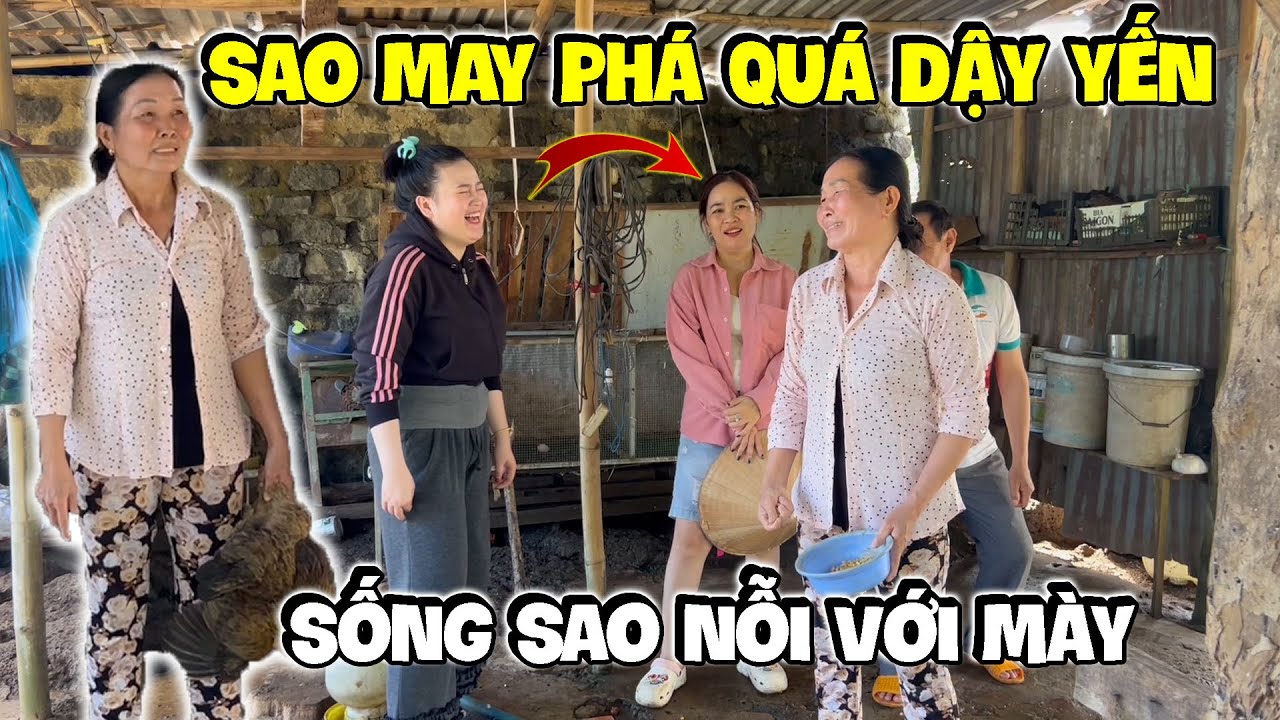 Yến Ơi Là Yến Sao Mày Báo Tao Quài Dậy Yến ... | Hải Ka Vlogs