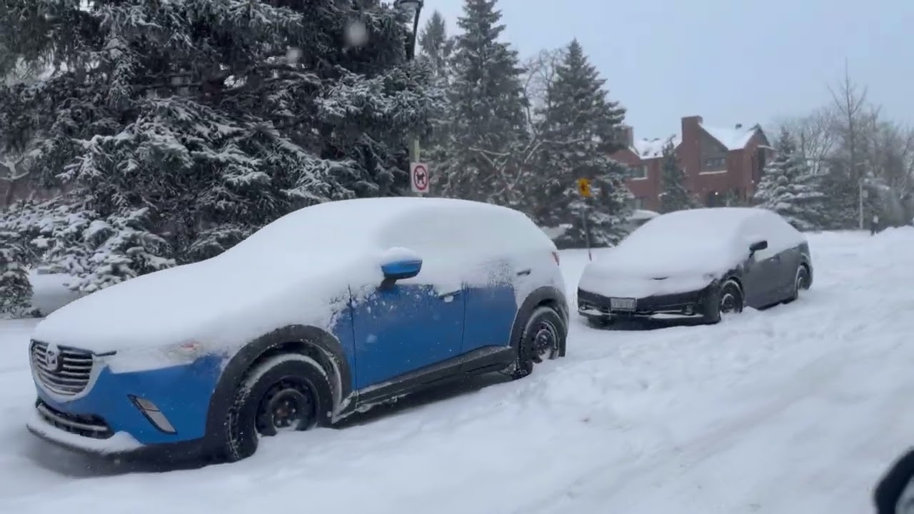 Journée neige déplacement difficile 