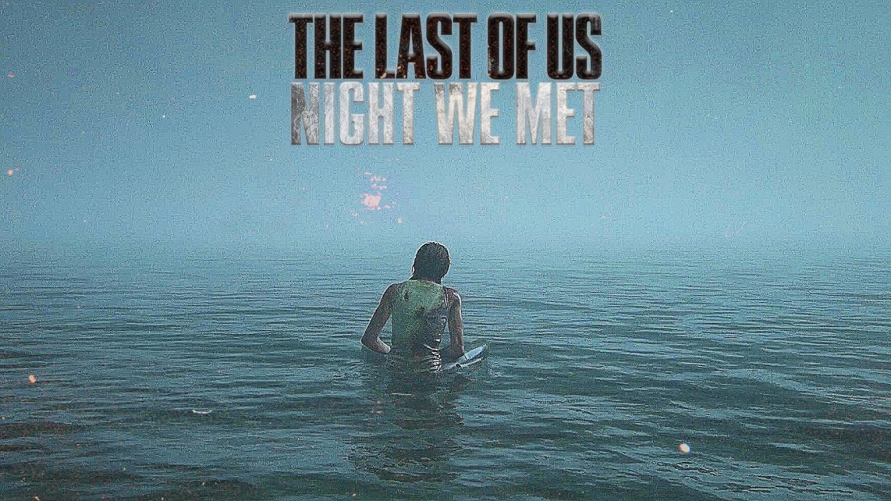 The Last of Us |Night We Met|
