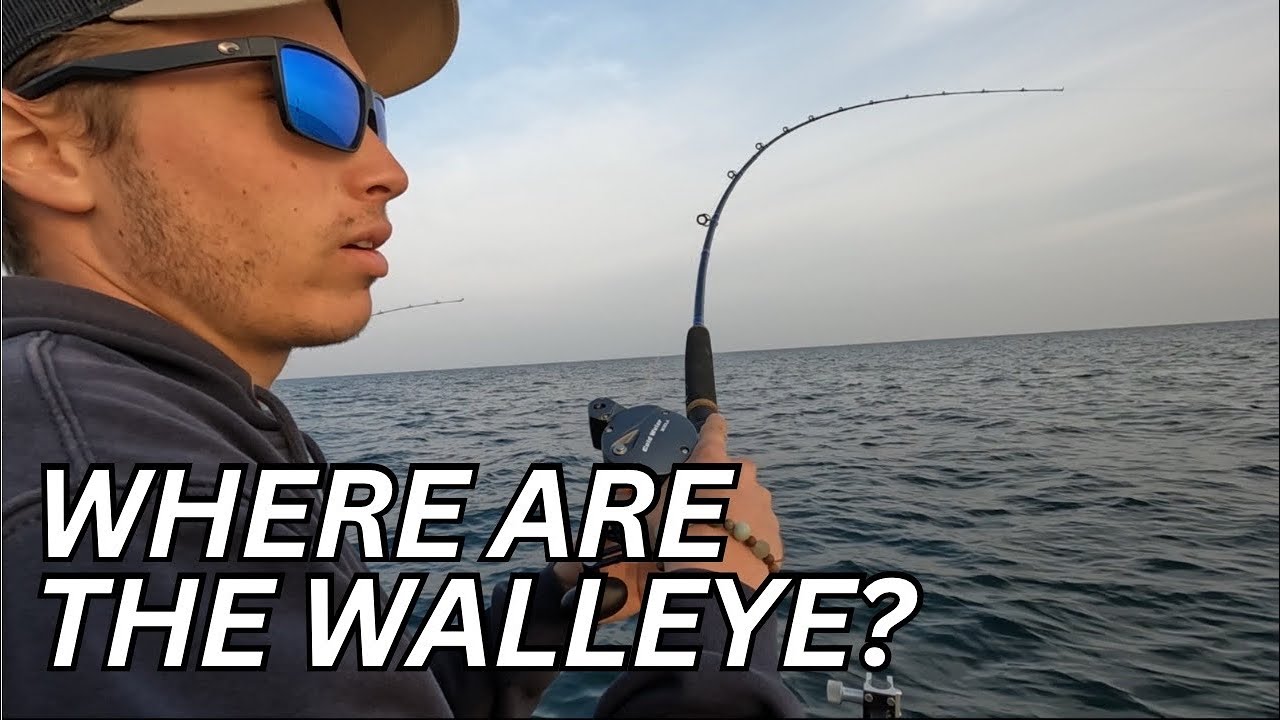 The SECRET to FAST Walleye LIMITS! | Lake Erie Walleye Fishing.