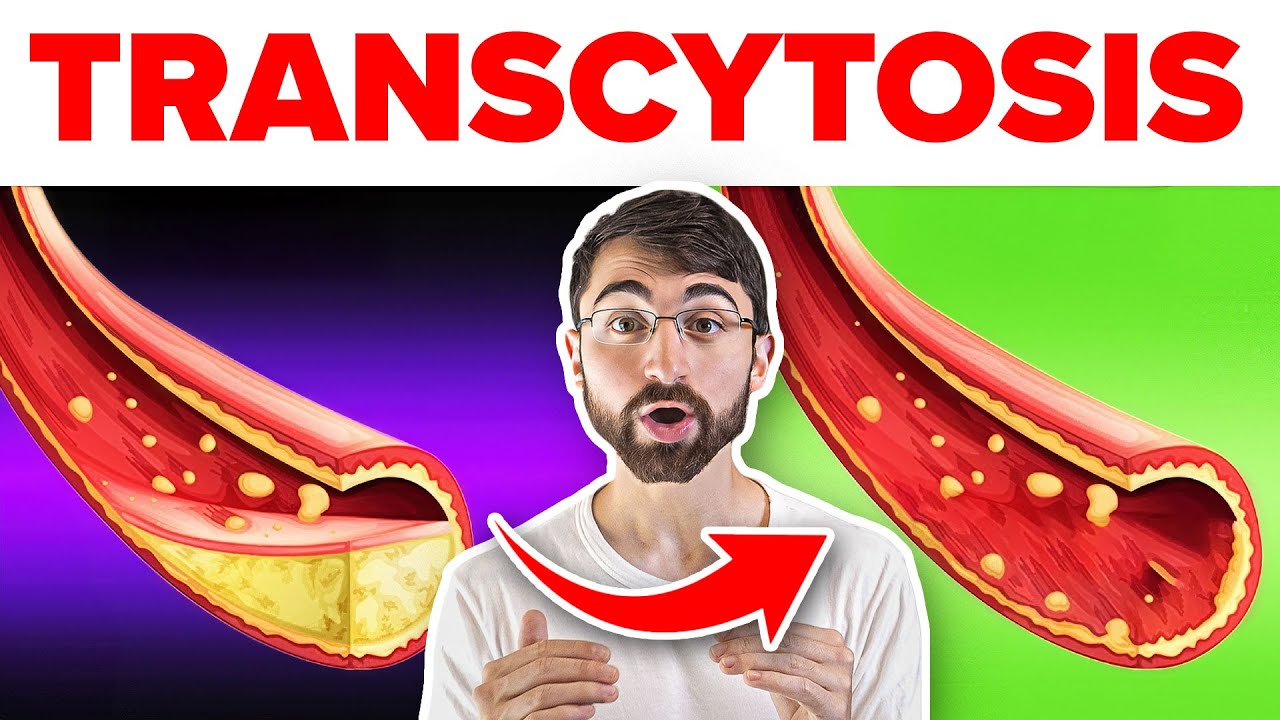 Why High LDL Cholesterol Doesn’t Always Lead to Heart Disease