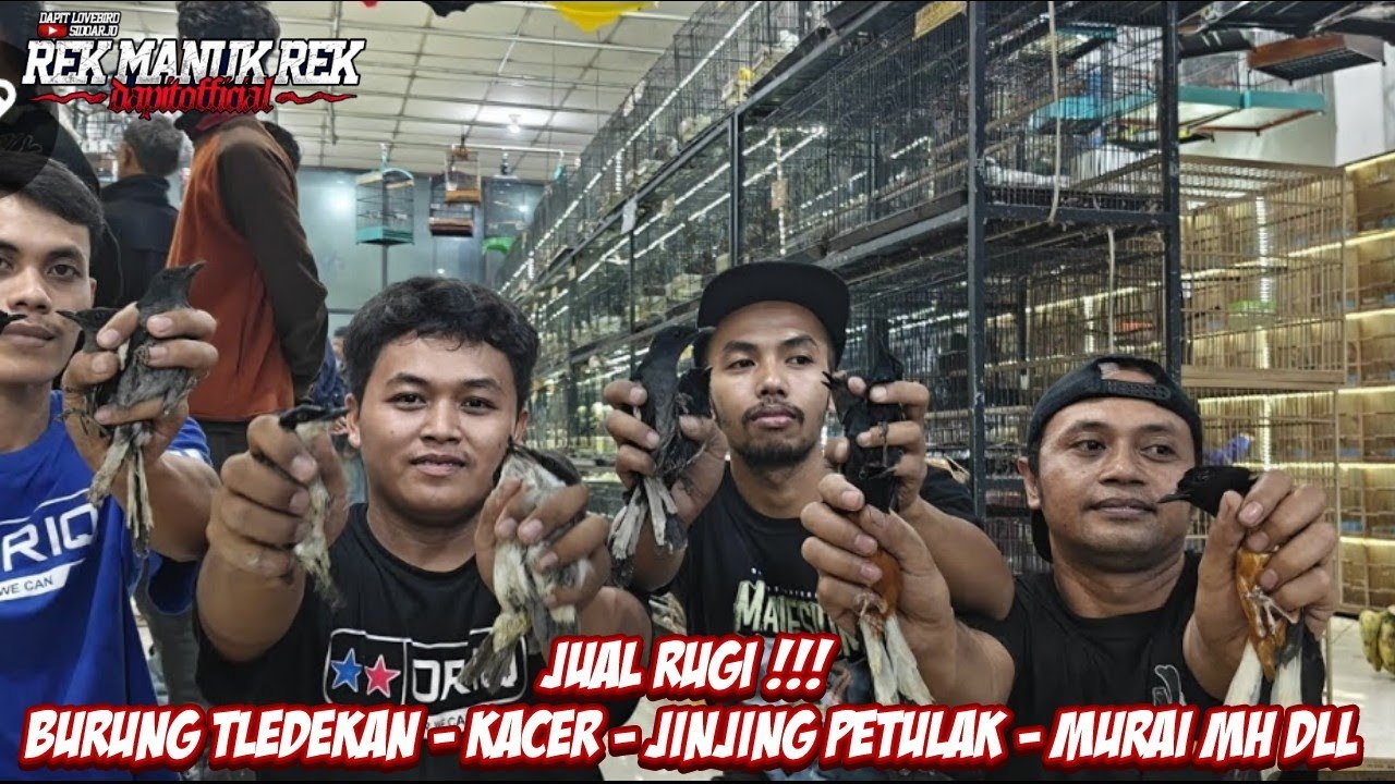 JUAL RUGI !!! BURUNG TLEDEKAN - KACER - JINJING PETULAK - MURAI MH DLL