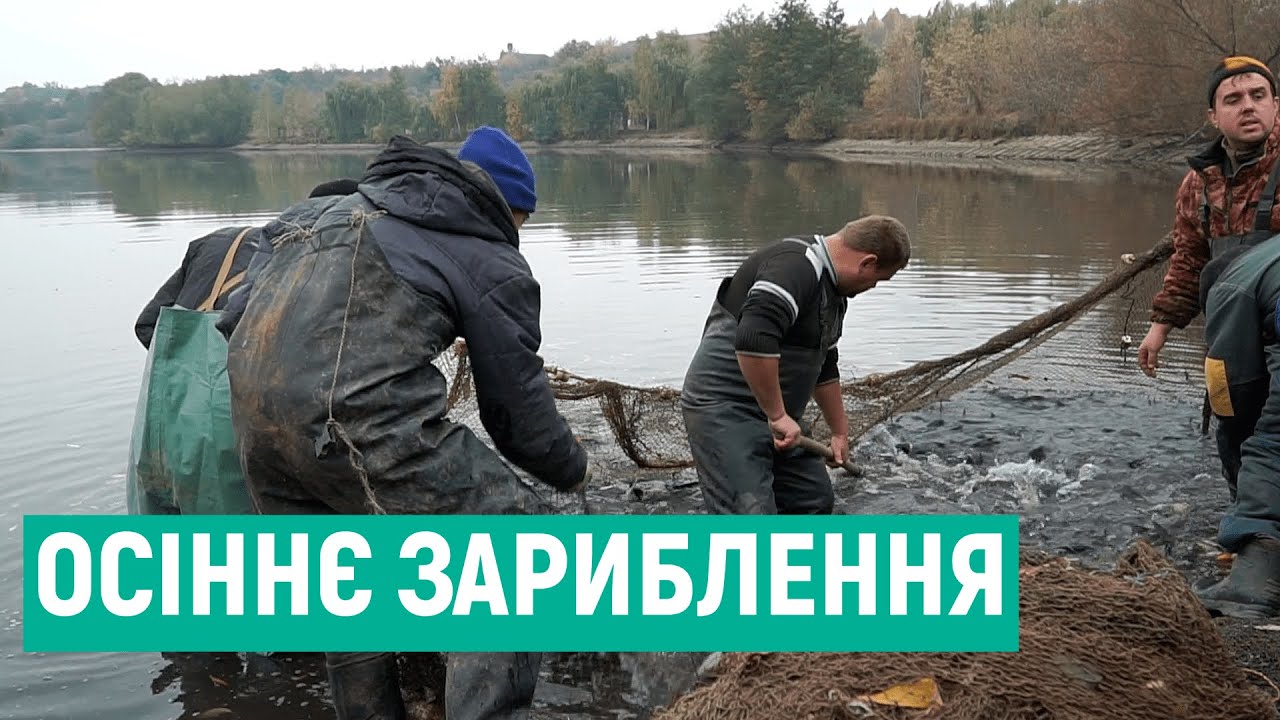 На Вінниччині стартувало осіннє зариблення водойм