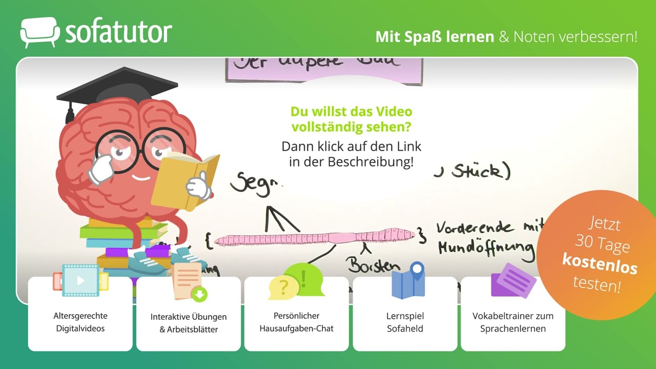 Regenwurm &ndash; innerer und &auml;u&szlig;erer Bau einfach erkl&auml;rt &ndash; Biologie