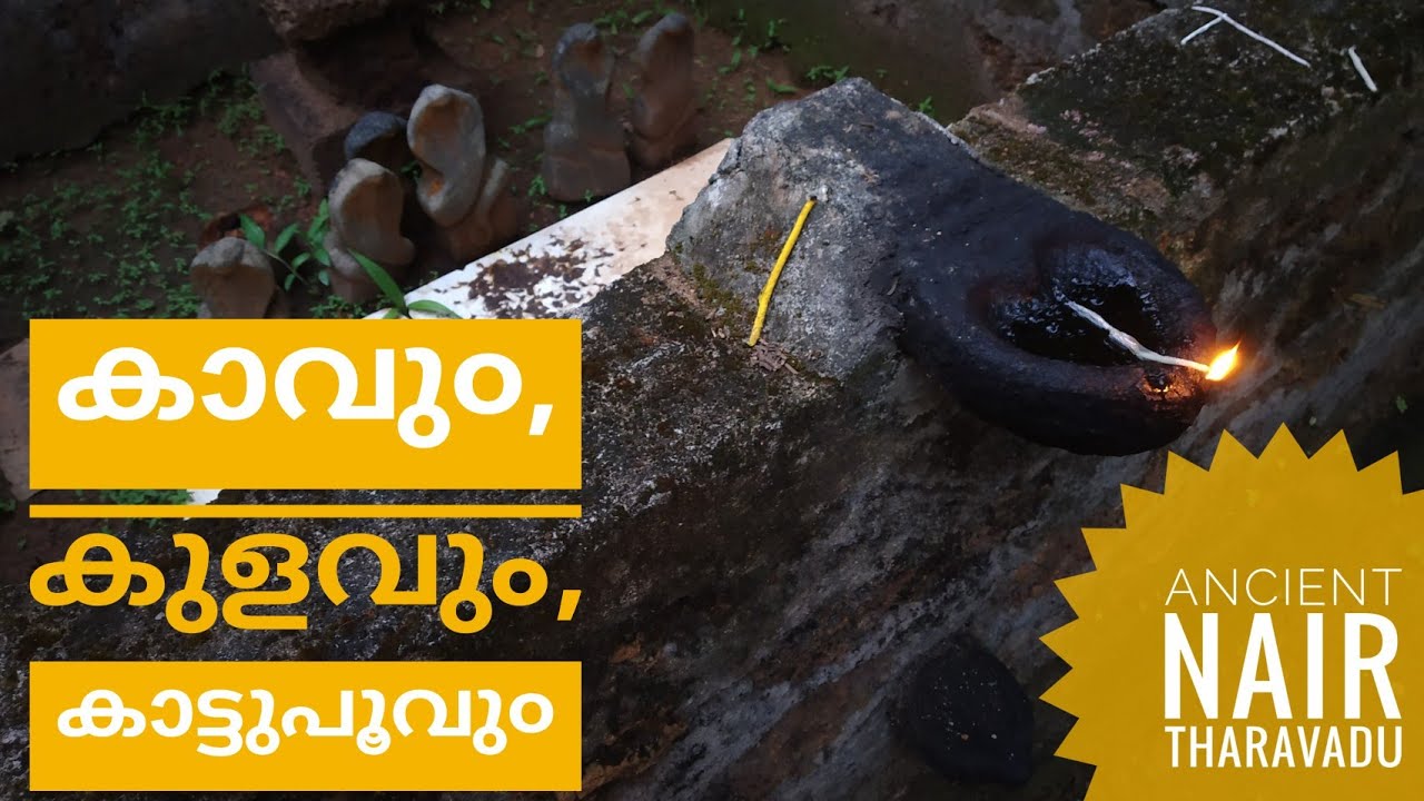 300 വർഷത്തി൯െറ ചെറുപ്പം എന്റെ തറവാടിന്😇 - Ancient Nair Tharavadu തെക്കെ പാലശ്ശേരി, കോങ്ങാട്