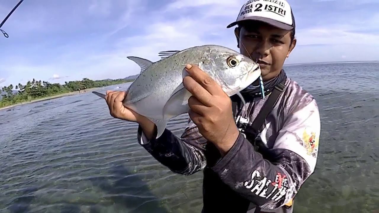 Siapa Sangka, Mancing Dari Pinggiran Pakai Micro Jig Dapat Giant Treavaly Babon