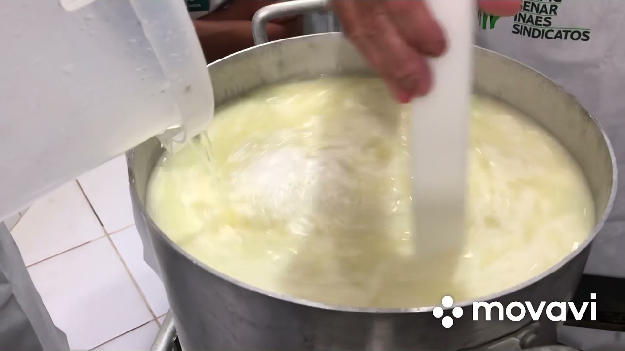 Fabricação de Requeijão em Barra
