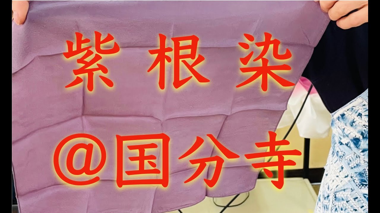 国分寺資料館に伝わる紫草を使った染色体験