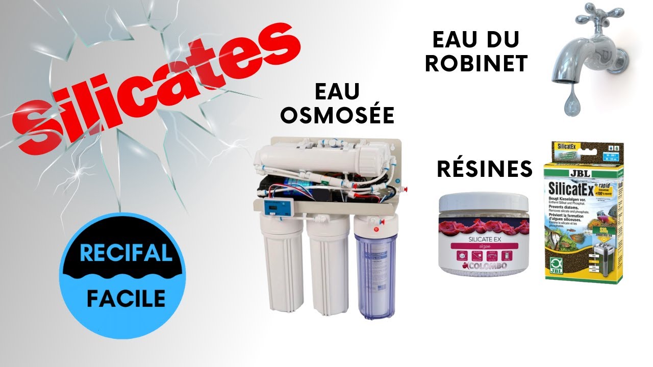 Venir à bout des Silicates