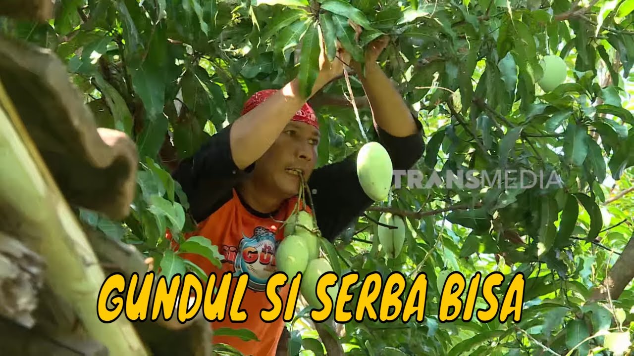 [FULL] SI GUNDUL YANG SEBA BISA | JEJAK SI GUNDUL (23/05/25)