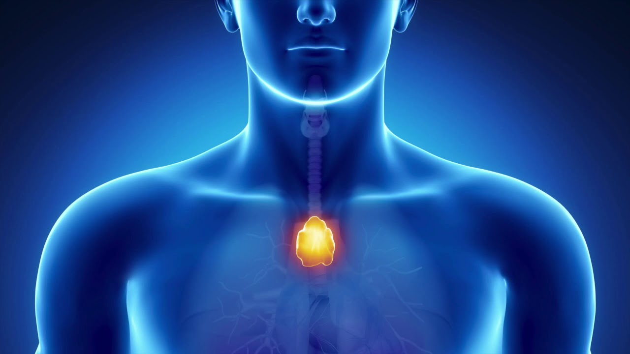 THYMUS GLAND SPACE, Nr. 20, healing thymus sound frequency &ndash; 741 Hz,(tone F#), smile