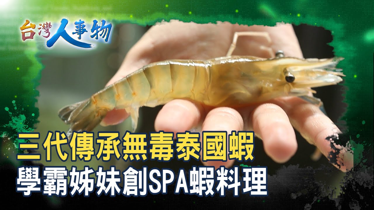 “無毒泰國蝦”拚千萬營收｜黃金蝦無毒泰國蝦餐廳｜【台灣人事物】2025.08.30