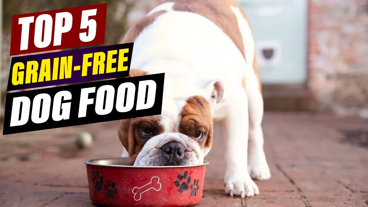 Top 5 Best Grain-Free Dog Foods of 2026: Healthy & Delicious!