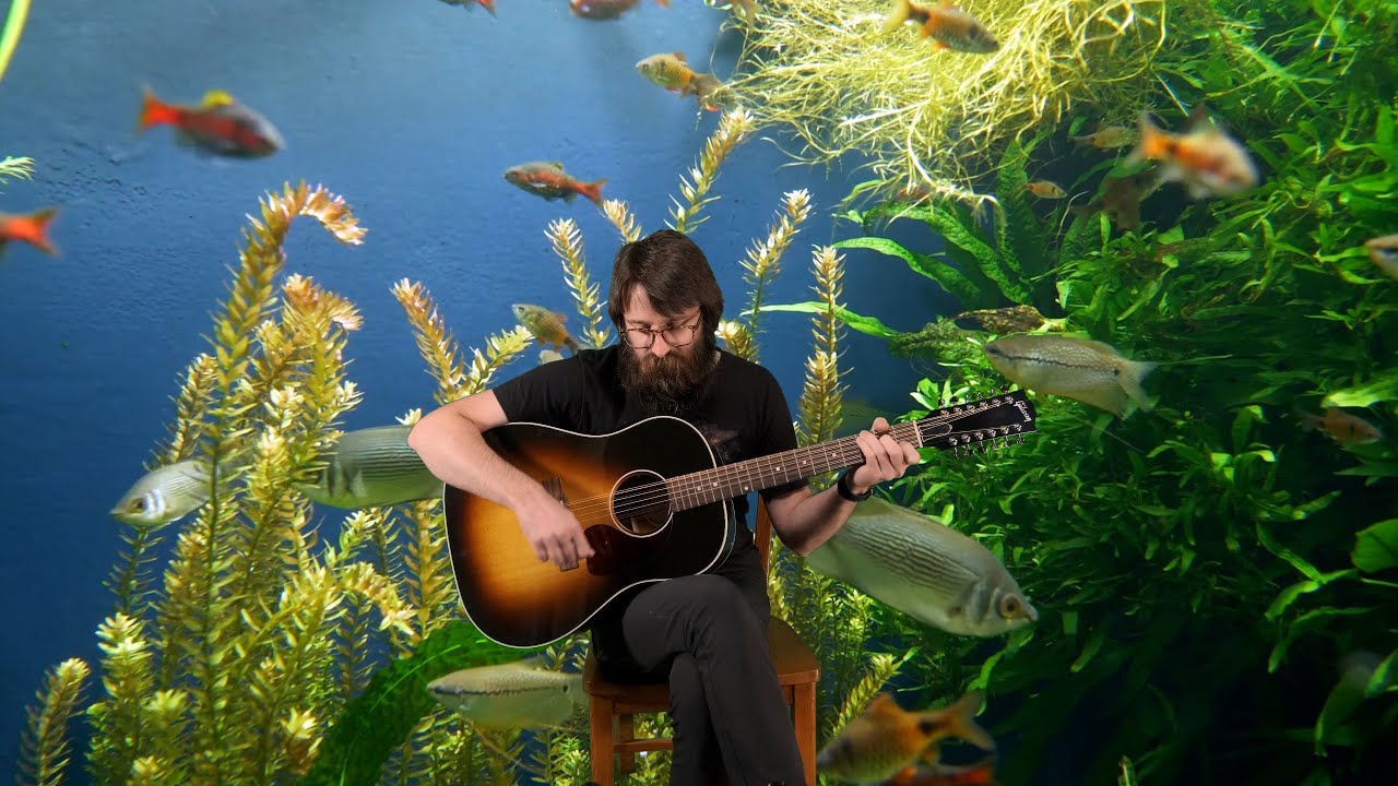 Fish Centre with Special Guest Matthew Chulka