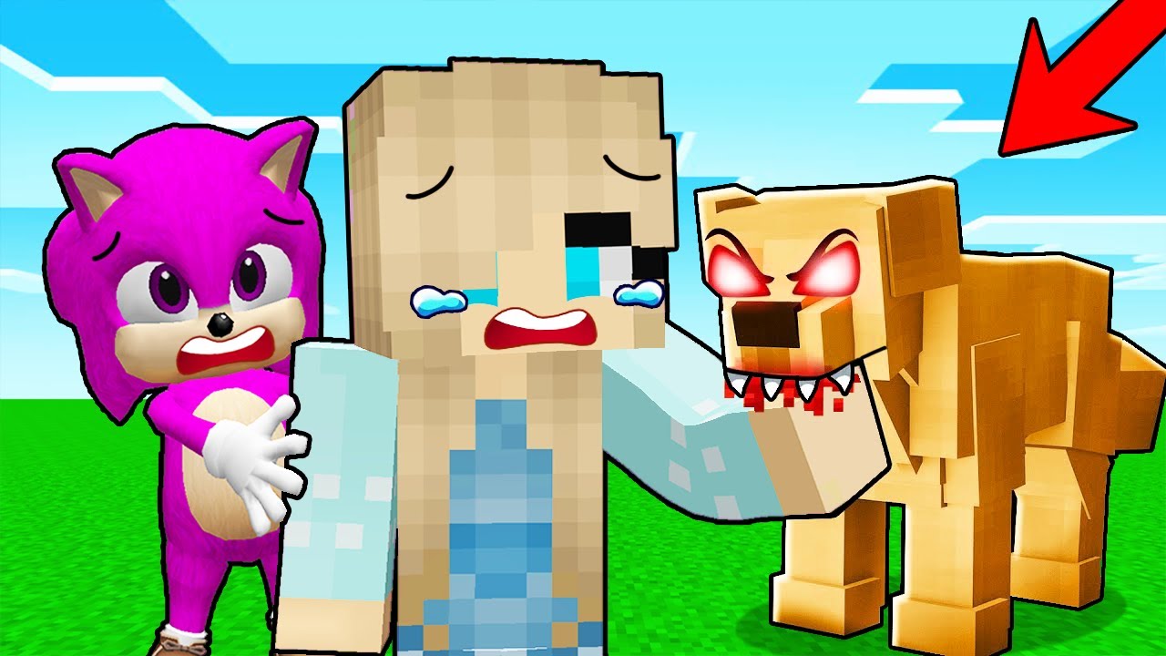 BERCA'yı KÖPEK ISIRDI! 😱 - Minecraft