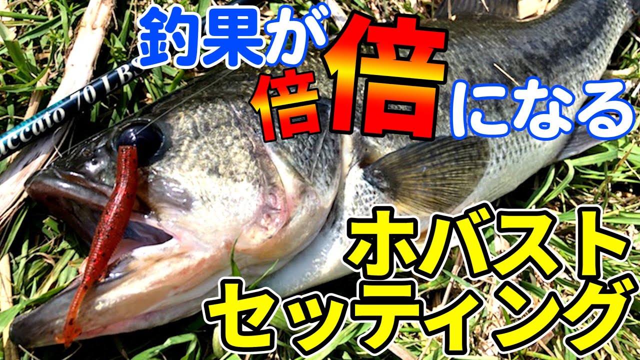 【バス釣り】ホバストマスターへの道！！釣果向上ホバストセッティング方法！！bassfishing