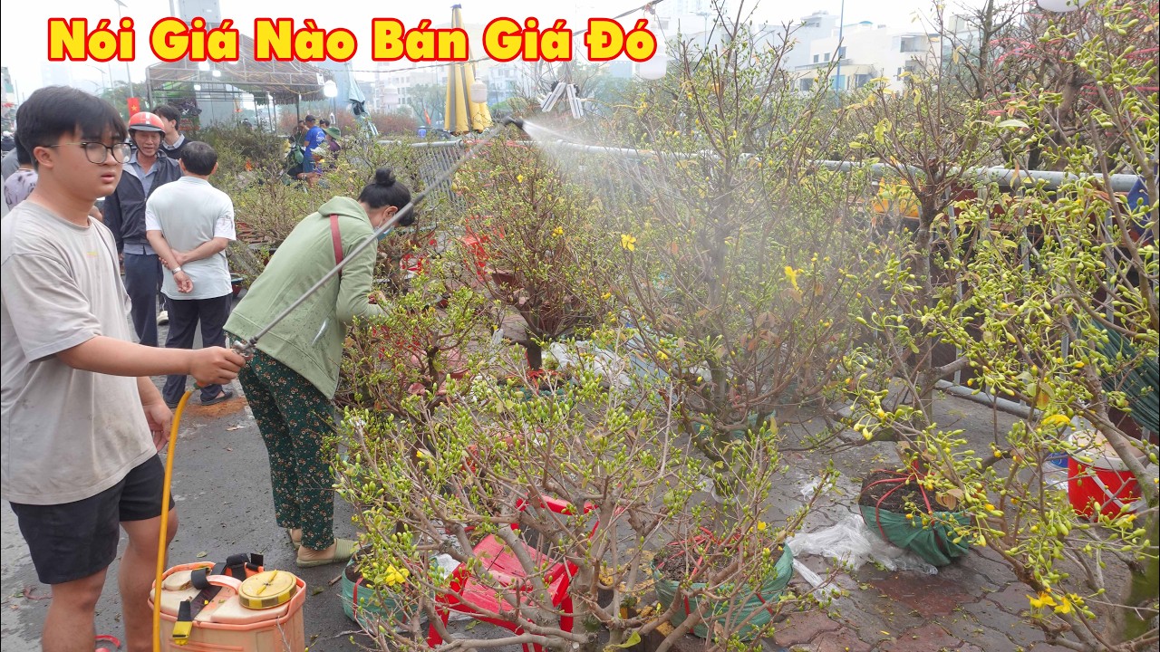 “Nói giá nào bán giá nấy – Chị gái bán mai không bớt, không thách vẫn đông khách”