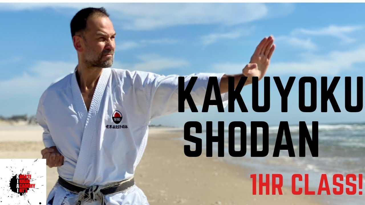 Kihon class leading to Kakuyoku Shodan 鶴翼初段. 組手的な基本と形
