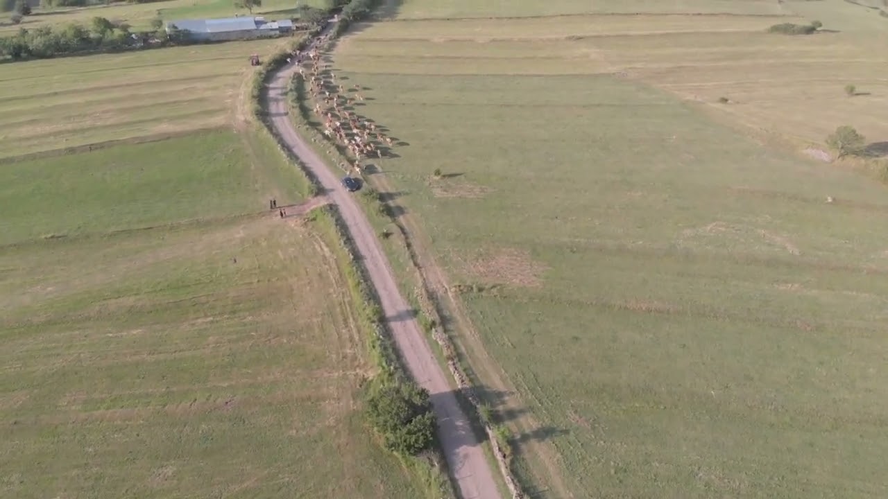 Posof İncedere Köyü (Cuvantel) 2023