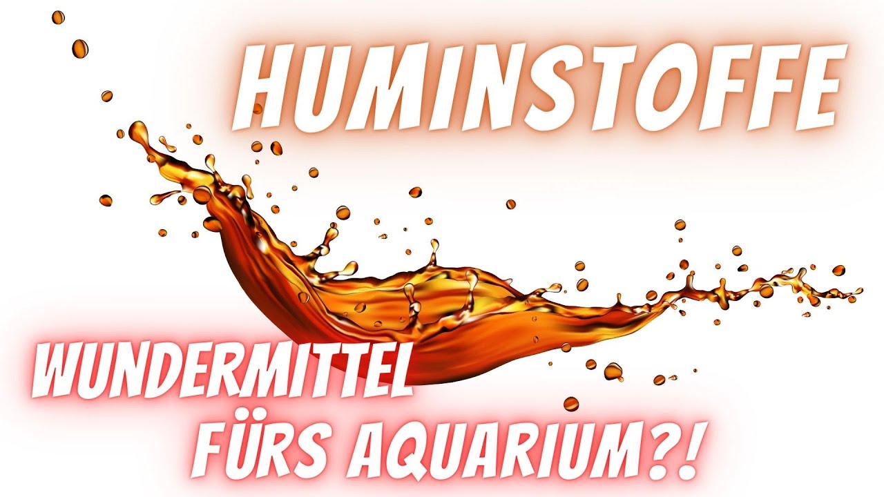 Geheimwaffe Huminstoffe 😮 - Wirkung und Nutzung positiver Eigenschaften im Aquarium☝️